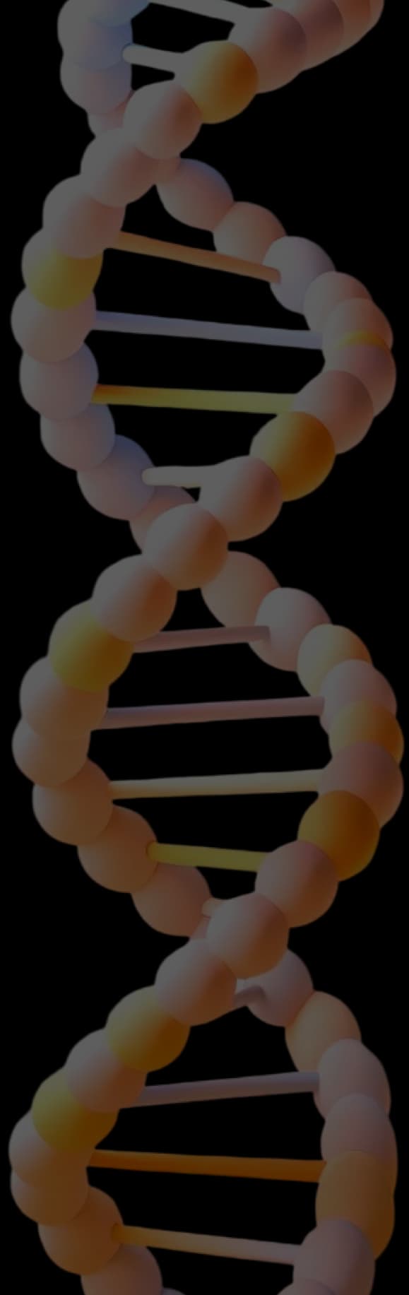 DNA 螺旋結構背景圖
